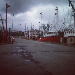 New Bedford #pier #dock #fishing #2012  (Taken with Instagram)