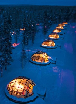  Renting a glass igloo in Finland to sleep under the northern