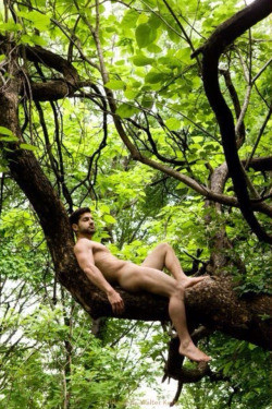 Make my dreams come true… get naked Tarzan and make me