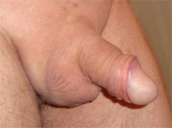 tiny cock foreskin pulled