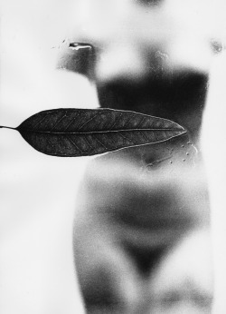 ‘November Girl’ (1967) by Sam Haskins