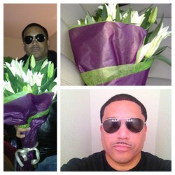 #picstitch fresh cut, fresh Lilly’s, it’s on!!!