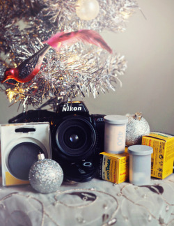 f0x:  ☆ HOLIDAY GIVEAWAY ☆ Hello my lovely tumblr friends!