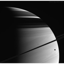 Moons, Rings, Clouds: Saturn (Casino) #nasa #apod #jpl #caltech #spacescienceinstitute #saturn #planet #moons #tethys #mimas #rings #cassini #spacecraft #spaceprobe #orbit #solarsystem #space #science #astronomy