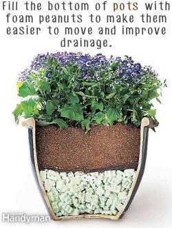 pr1nceshawn:Helpful Gardening Tips.=o Useful info!