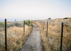 ruben-hughes:  Leo Carrillo Trail