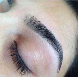  Brow porn alert. Brow porn alert. Brow porn alert. Look at the fullness Look at that arch So clean  why is it so blurry under the eyebrow hair? (hint hint, photoshop)