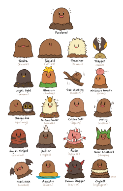 rumwik:   What would happen if diglett could inherit some new and exciting traits? Well, here is my guess!    biglett omg