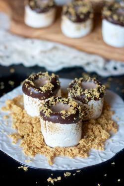 craving-nomz:  S’mores Marshmallow Shooters