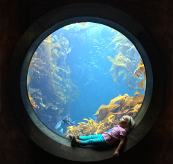 smithsonianmag:Photo of the Day: WonderPhoto by Royce Hutain (Costa Mesa, California, USA); Monterey Bay Aquarium, Monterey, California