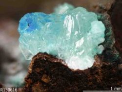 geologypage:  Catalog of 208 human-caused minerals bolsters argument to declare ‘Anthropocene Epoch’ http://www.geologypage.com/2017/03/catalog-208-human-caused-minerals-bolsters-argument-declare-anthropocene-epoch.html