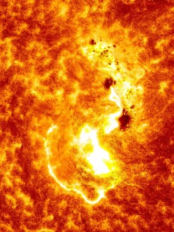 kenobi-wan-obi:  Sun Unleashes 1st Major Solar Flare of 2014  A massive solar flare erupted from the sun on Tuesday (Jan. 7), rising up from what appears to be one of the largest sunspot groups seen on the star’s surface in a decade, NASA officials