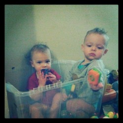 All the space in the world yet they play in the bucket #twinnephews