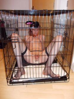 sweetnathalietv:  Cages are excellent places