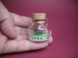 whatisaqualityblog:  fer1972:  Tiny Worlds in a Bottle  i’LL TAKE 40 