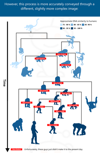 sixpenceee:  Informal infographic depicting evolution 