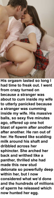 Myeroticbunny:  His Orgasm Lasted So Long I Had Time To Freak Out. I Went From Crazy