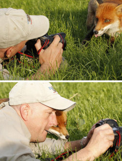 boredpanda:    Animals That Want To Be Photographers   