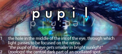 Origin of the word “pupil”: a little doll.Both meanings of the word “pupil” (a student, or the centre of the eye) have a similar etymology. The latin words “pupus” and “pupa” mean “little boy” and “little girl” respectively.