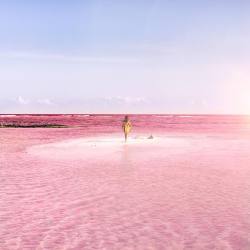 instagram:  This Pink Lagoon is Real, and You Can Visit It in Mexico  To see more from the pink lagoons, check out Las Coloradas on Instagram. To discover more stories from the Spanish-speaking community, follow @instagrames.  In Las Coloradas, Mexico,