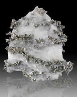 mineralists:  Shiny silver Dyscrasite crystals with Allergentum in Calcite from Morocco 