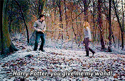 lightspeedsound:  manybodies:  lightspeedsound:  lunapics:  theshells:  I can’t stop laughing at Harry running the fuck away, the boy who lived ladies and gentlemen.  ….You realize, of course, that Hermione Granger lit a teacher on fire when she