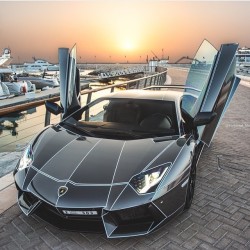 themanliness:  Tron Lamborghini Aventador! Via @gentlemens.lounge! What do you think if this Tron wrap? (på/i Tag a Lamborghini Fan!)