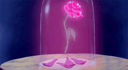 mrs-alitha:  Una rosa encantada que duraría