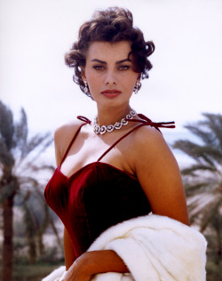 20th-century-man:  Sophia Loren  So Hot