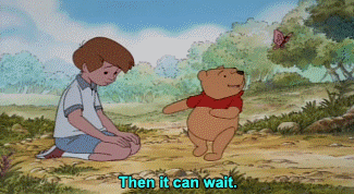 biomecanicalpunk:  awkward-ness-monster:baerials:Pooh stop running from your fucking problemsme  literally every time i see this post i expect it to be some sort of life lesson but no i just read “pooh stop running from your fucking problems” and