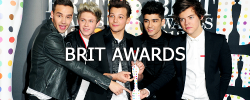  So, how’s 2013 been for One Direction?  Awards won (by alphabetical order): American Music Awards - Favorite Pop/Rock Album (Take Me Home), Favorite Pop/Rock Band/Duo/Group | ARIA Music Awards - Best International Artist | BBC Radio 1 Teen Awards -