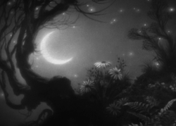 kittenmeats:  &ldquo;A Midsummer Night’s Dream&rdquo; (1935) - William Dieterle, Max Reinhardt 