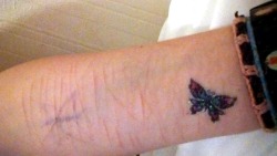 im-really-trying-okay:  So, my 6 year old little sister seen my faded butterfly on my arm and gave me her last fake butterfly tattoo and told me to put it by my other butterfly that I’d drawn because it looked lonely. She’s my everything. She is helping