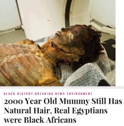 fuckyourracism:  sugoi-rudeboi:  jelizabeth41:  lyriciss:  petitfemmenoir:  THIS IS NOT NEWS  I don’t know what people expect Egyptians to be. I guess watching The 10 Commandments on ABC growing up got folks thinking they all looked like bronzed white