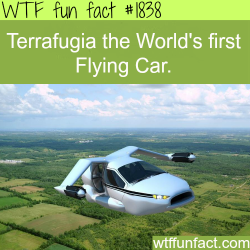 wtf-fun-factss:  Terrafugia, the worlds first flying car - WTF fun facts