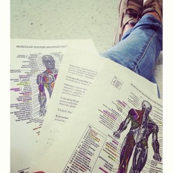 Musculos dejense llevar y sean faciles de aprender&hellip;. #muscule #anatomia #study #university #test 😱 @naoj24