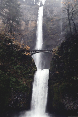 puresunflower:  calli-marie:  I’ve been here! It really is breathtaking. The thundering roar of the water and the spray of the water against your face is so magical and just ugh. It’s Multnomah Falls by the way. In Oregon. ♥ A really great place