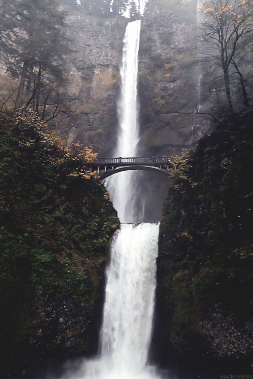 Porn wasifio:  Multnomah Falls in Oregon   Wow. photos