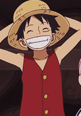 Porn clayrs:  luffy's vests        photos
