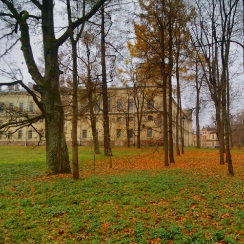 #landscape #park #palace #October #2013 #gatchina #Russia #Гатчина #Россия
