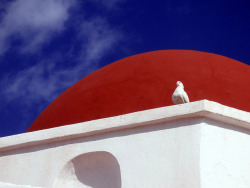 Dove on a roof by Marite2007 on Flickr.