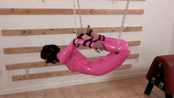 gaggedutopia:Hannah talks me into putting her into a suspended hogtie /w iron pipes. #bondage #suspension http://j.mp/2sPxxBd