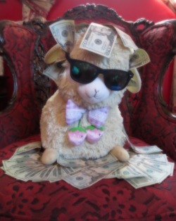 lapopearmadillo:  YOU HAVE BEEN VISITED BY THE BIG CASH MONEY ALPACA!!BIG CASH MONEY ALPACA ONLY APPEARS EVERY 5000 YEARS!!!LIKE/SHARE AND BIG CASH MONEY (or alpacas) WILL COME TO YOU!!!! 