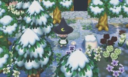 crossingcreep:  Finally got a witch’s hat thanks to mayor-ariel ☺️