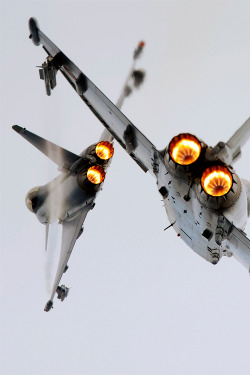 classy-captain:   Austrian Airforce Eurofighters by Zachery Fuhrman classy-captain  