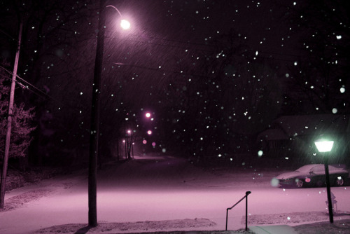winterfellis:  Snowfall by nick88078807 on Flickr. 