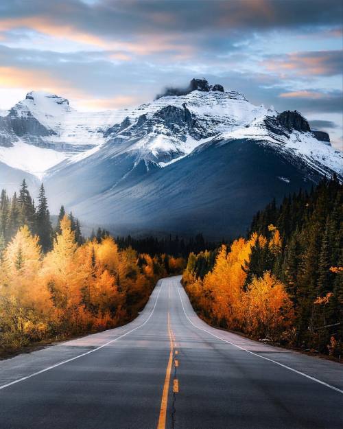 utwo:  Chilly road trips through the Rockies © alexandra 