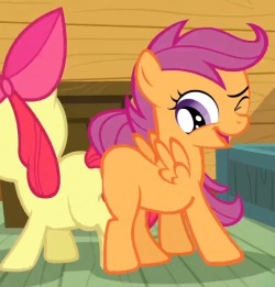 askrecordspinner  They are gonna earn their cutie marks in LESBIAN LOVE ;W; 