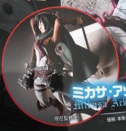 First look at Mikasa from next month’s Gekkan Shingeki no Kyojin!As previewed in this month’s Levi issue!
