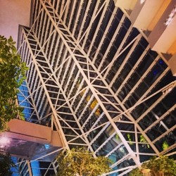 Windows #architecture #design #dinner (at Rise Restaurant, Marina Bay Sands, Singapore)